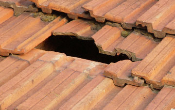 roof repair Haddacott, Devon