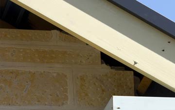 soffit repair Haddacott
